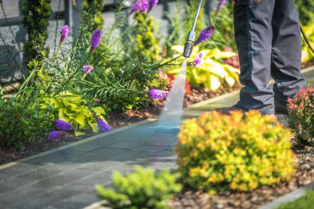 Best Gas Station Cleaning  in South San Jose Hills, CA