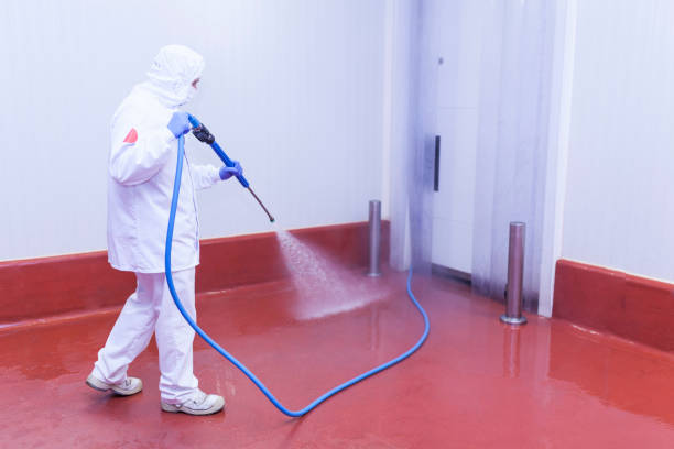 Best Pool Deck Cleaning  in South San Jose Hills, CA